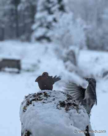 PHOTOS: Snow comes down in WNY