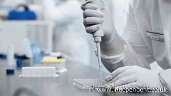 Pfizer to begin first US immunisation programmes in another leap forwards for Covid vaccine