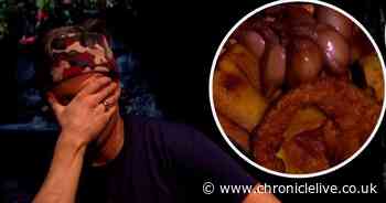 Vernon Kay confronted by 'roasted' testicles in I'm A Celeb trial