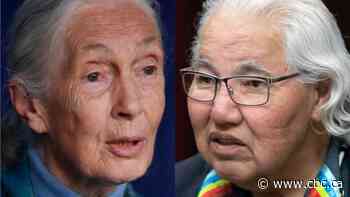 Jane Goodall backs Sen. Murray Sinclair's bill to ban ape, elephant captivity in Canada