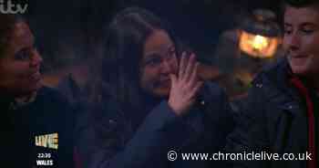 I'm A Celebrity stars sending 'secret signals' to their families