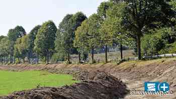 Radweg in Eslohe: Es müssen mehr Bäume weg als geplant - WP News