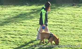 RSPCA appeal to find owner over concerns for dog’s welfare