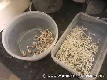 Suspected drug dealer arrested on Amelia Street in Orford