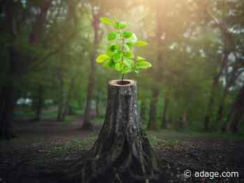 How a software company solved for 'bland brand syndrome'