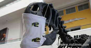 Nearly a Third of U.S. Museums Remain Closed by Pandemic, Survey Shows