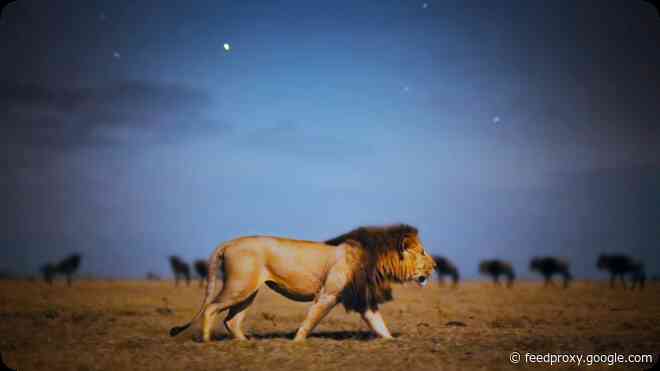 Apple TV+ releases official trailer for ‘Earth At Night In Color’