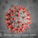 Dow surges to record high on news of effective COVID vaccine