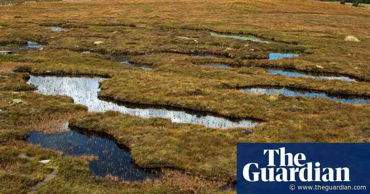 Why the UK needs a full peat compost ban