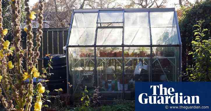Country diary: a creaky greenhouse makes a snug shelter from the downpour