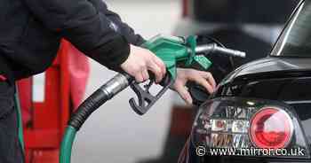 Buying new petrol cars banned from 2030 as PM's green plan brought forward