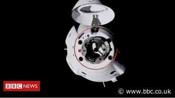 Nasa SpaceX mission: Dragon capsule docks with space station