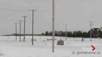 Lethbridge College powerline students criticize course delivery | Watch News Videos Online - Globalnews.ca