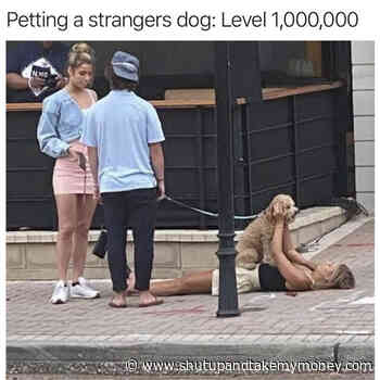 Petting A Strangers Dog: Level 1,000,000 – Meme