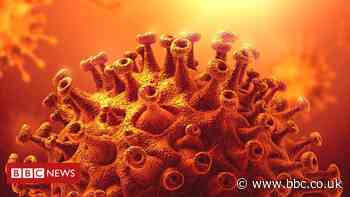 Coronavirus: What is the R number and how is it calculated?