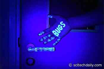 Seeking the Most Effective Virus-Resistant Polymers for Personal Protective Equipment