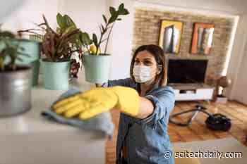 Scientists Find Chemicals Proven Harmful to Human Health in Household Dust