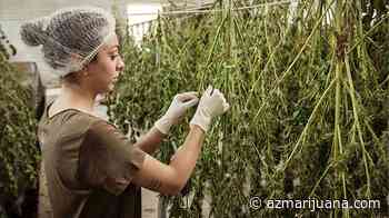 NM Might Increase Medical Marijuana Purchase Limit to 15 Ounces - AZmarijuana.com
