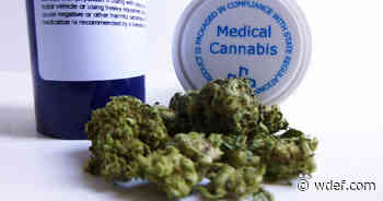 Future of legalized medical marijuana - WDEF News 12