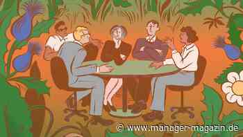 Nachhaltigkeit: Was Boardmitglieder denken - eine Typologie