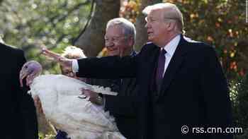 Despite the state of things, there will be a turkey pardon