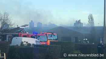 Vier woningen getroffen door brand, bewoner in kritieke toestand naar ziekenhuis