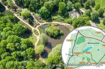 Call for views after Richmond and Bushy Park traffic trials
