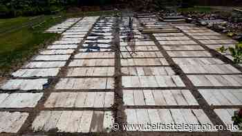 Covid death toll rises above 2,000 in Ireland