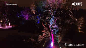 Illumination: Tree Lights returns to Morton Arboretum for holiday lights with social distancing