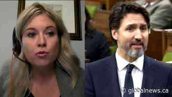 Coronavirus: Trudeau, Rempel argue over whose 'job' it is to approve at-home COVID-19 testing | Watch News Videos Online - Globalnews.ca