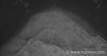 A Festival of New Asian Art, Seeking a Direction