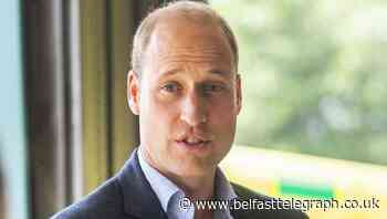 William says probe into Diana’s Panorama interview ‘should help establish truth’