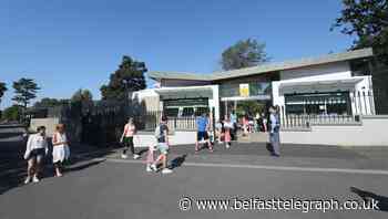 Dublin Zoo clears one million euros in donations following pandemic appeal