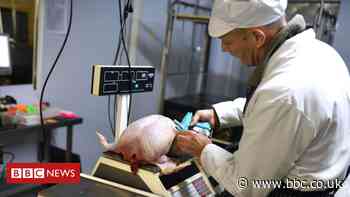 Travel rules changed for Christmas turkey farm workers