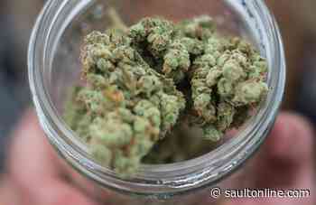 Marijuana Regulatory Agency Announces Social Equity Program Application Now Online