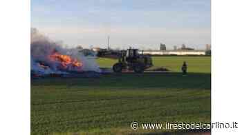 Bruciano rotoballe di erba medica I pompieri al lavoro da due giorni - il Resto del Carlino