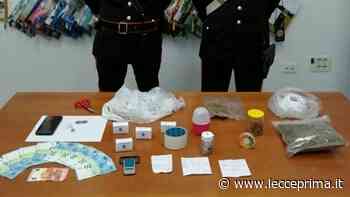 I cani dell’Arma stanano hashish ed “erba” in casa: in manette - LeccePrima