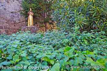 Pianoscarano, l'erba in via dei giardini ha circondato pure Padre Pio... - Tuscia Web