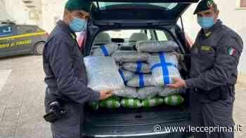 Nel Salento per fare il carico di “erba”: corriere fermato con 76 chili in auto - LeccePrima