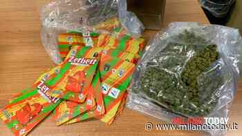 Spedisce mezzo chilo di "erba" dagli Usa a Milano: pacco intercettato a Malpensa - MilanoToday.it
