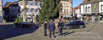 Emmendinger sind kooperativ - Emmendingen - Badische Zeitung - Badische Zeitung