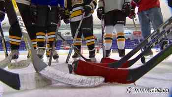 Organizational fraud has robbed Canadian youth sports groups of nearly $8M in past decade