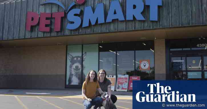 Pet adoption booming amid pandemic – but workers accuse retailers of abuses