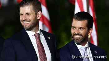 Eric Trump, Donald Trump Jr. amplified claims of election fraud, analysis shows