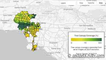 Google Tree Canopy Lab Tool Launches to Help Cities Plant More Trees