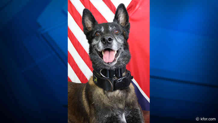 'Our hearts are broken': Tennessee K-9 officer dies days after being shot in line of duty