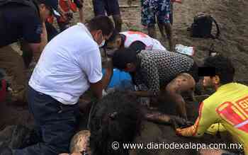 Vecina de Tlapacoyan se ahogó en playa de Tecolutla - Diario de Xalapa