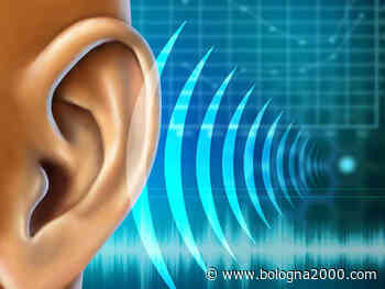 Alla Scam di Modena suonano le sirene, ma è soltanto una esercitazione - Bologna 2000