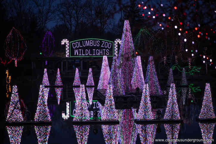 Mega Weekend – Holiday Lights, Crafternoons, Aminah’s art & More