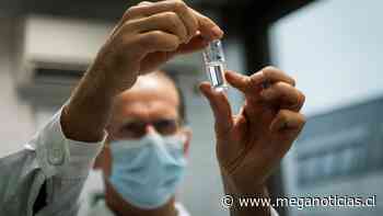 ¿Cuántas vacunas hay contra el coronavirus? - Meganoticias